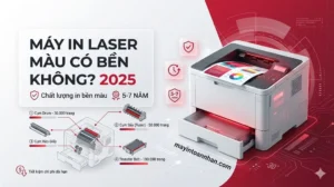 Máy In Laser Màu Có Bền Không? Phân Tích Tuổi Thọ Thực Tế 2025