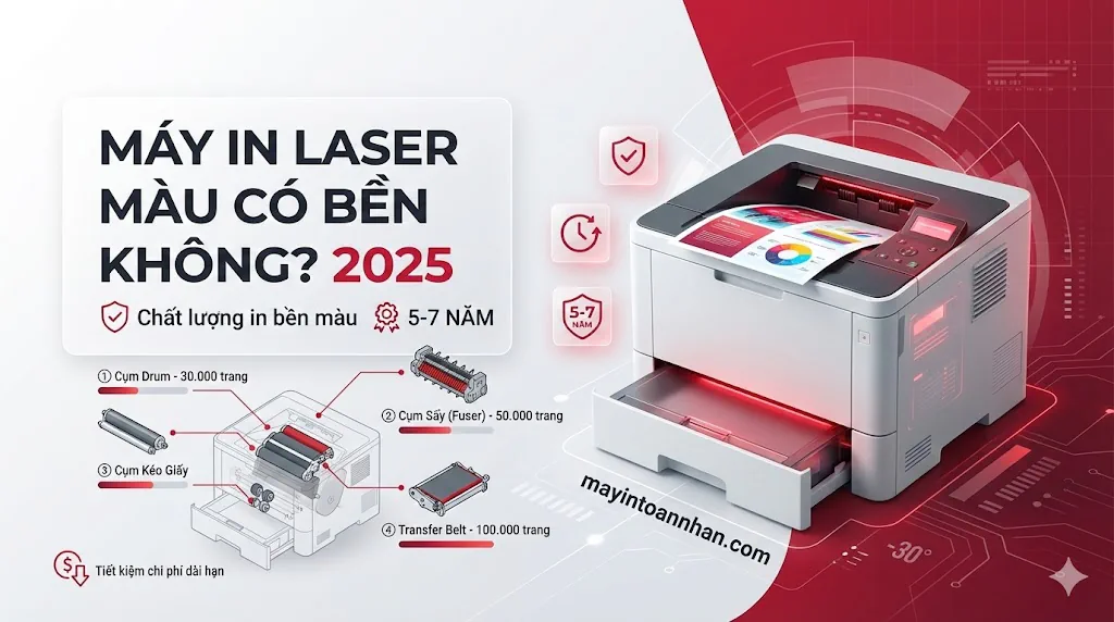 Máy In Laser Màu Có Bền Không? Phân Tích Tuổi Thọ Thực Tế 2025