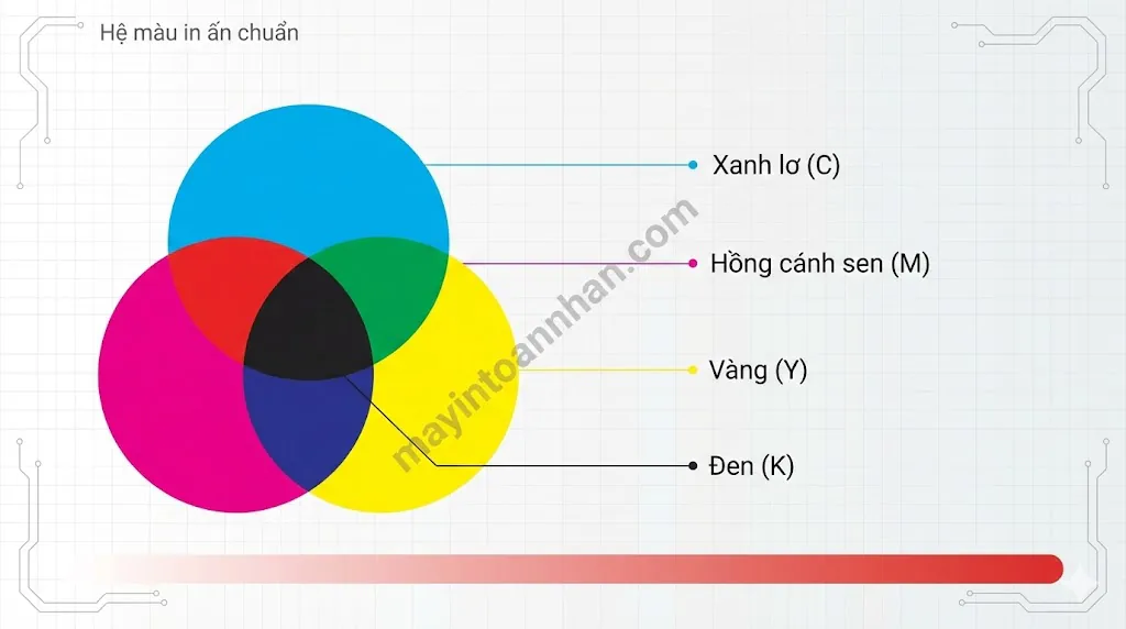 Máy In Màu 2025: Hướng Dẫn Chọn Mua A-Z Cho Văn Phòng