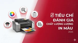 Đánh Giá Chất Lượng In Màu: 5 Tiêu Chí Quan Trọng Nhất 2025