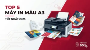 Máy In Màu A3: Top 5 Model Tốt Nhất 2025 & Cách Chọn Đúng