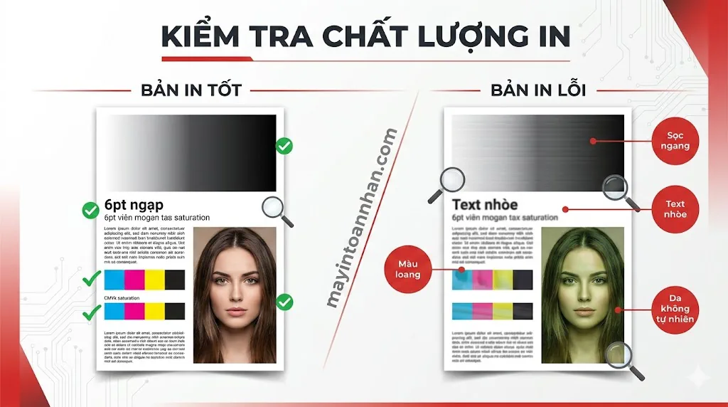 Đánh Giá Chất Lượng In Màu: 5 Tiêu Chí Quan Trọng Nhất 2025