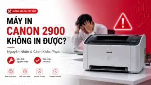 Tại Sao Máy In Canon 2900 Không In Được – Nguyên nhân & Cách khắc phục 2025
