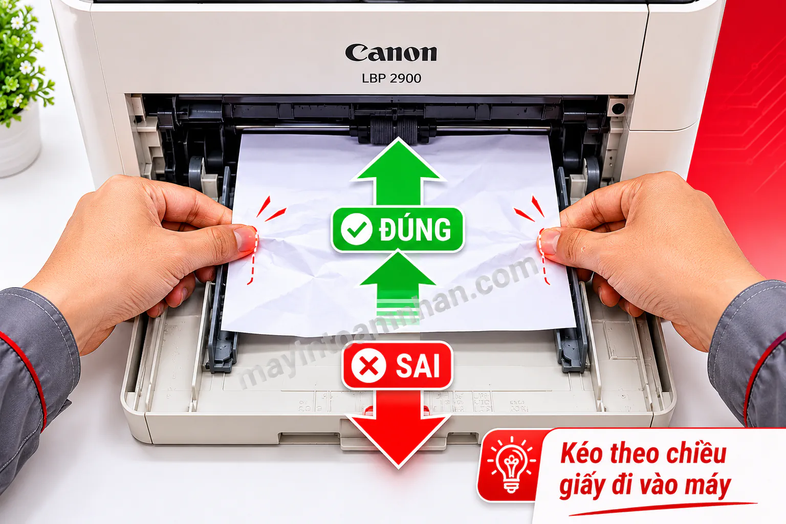 Lấy Giấy Bị Kẹt Trong Máy In Canon 2900 2025