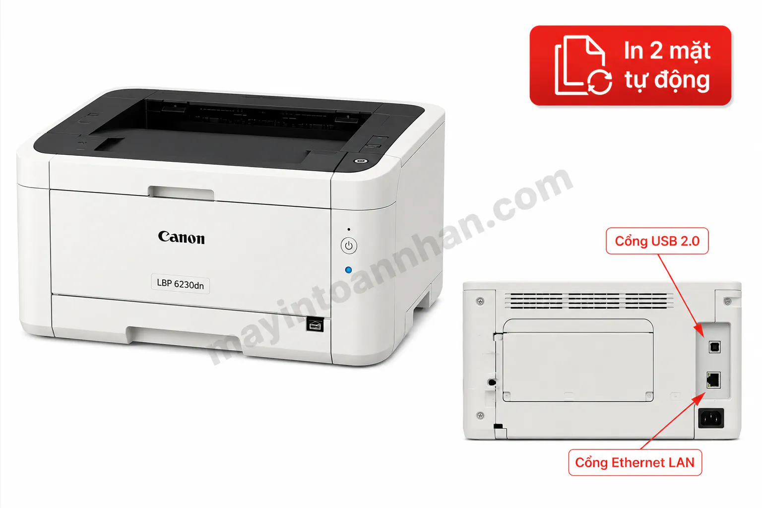 Driver Máy In Canon Lbp 6230Dn – Hướng dẫn chi tiết 2025