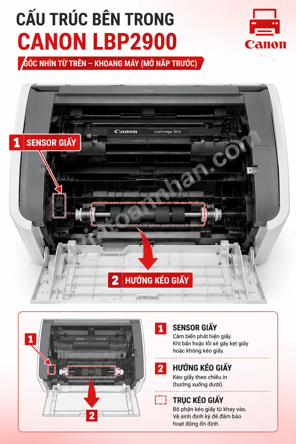 Tại Sao Máy In Canon 2900 Không In Được – Nguyên nhân & Cách khắc phục 2025