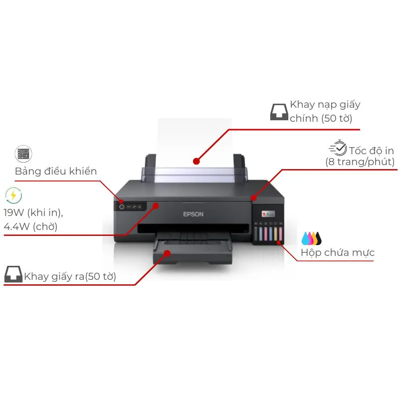 Bản in ảnh màu độ phân giải cao từ máy in Epson EcoTank L8050
