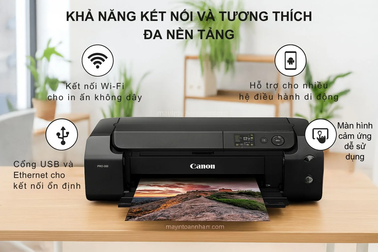 Kết nối WiFi, LAN và in di động trên Canon imagePROGRAF PRO-300