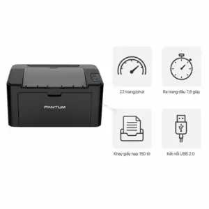 Máy in laser đen trắng Pantum P2516